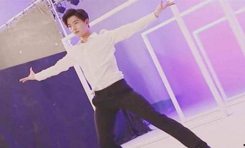 娱乐圈会跳舞的男星
